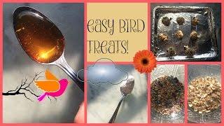 DIY EASY BIRD TREATS!