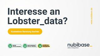 nubibase - Ihr Partner für Lobster DATA und Datenintegration