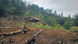 #4 Transforming the Wild Forest into a Dream Farm – Build terraced vegetable fields, Livestock...