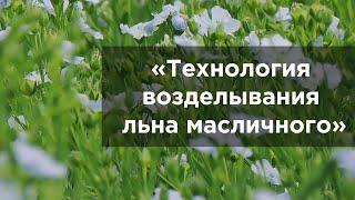 Технология возделывания льна масличного