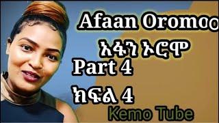 Learn Afan Oromo in Amharic #Afaan Oromoo Amaariffaan bradhaa #አፋን ኦሮሞ በአማርኛ ይማሩ