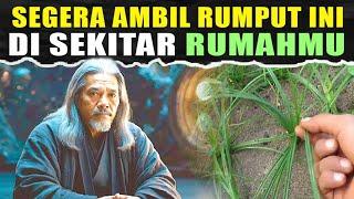 Ijasah Ilmu  SUNGGUH TAK RUGI,SEGERA AMBIL DAN CARI RUMPUT KERAMAT INI!