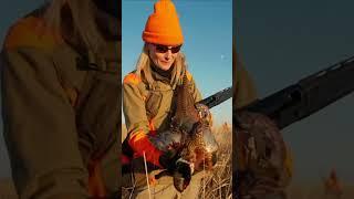 GUN DOG's "Wild Upland" Episode 8 - South Dakota Pheasants