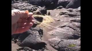 CSAV Hawaii: Pele's Hair (Volcanic Glass)