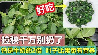 辣椒叶营养又好吃, 千万别扔了 Don't throw pepper leaves away