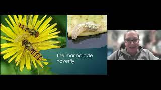 The importance of insects - Dr Erica McAlister