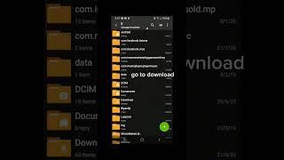 how to download mods melon playground for @Quadruplemarker