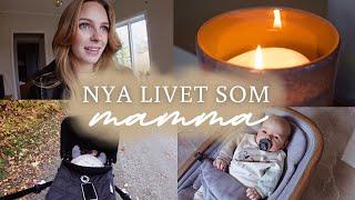 LIVET SOM NY MAMMA | att älska mammalivet, leva ett annorlunda liv & vardag med nyfödd