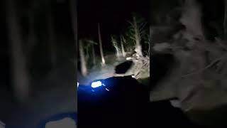 Selicevica night ride Atv , quad, Cf 850xc