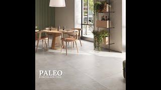 PALEO Porcelain Tile Collection for Walls & Floors