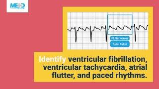 Recognizing rhythms at a glance