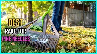 5 Best Rakes for Pine Needles [Review] - Pine Straw Needle Rake/Lightweight Pine Needle Rake [2023]