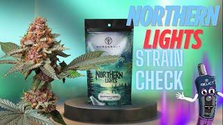 Northern Lights  Cannabis Strain Review - beste Outdoorsorte?  Indica Grow