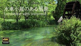 4K video + natural  sounds / Azumino Landscape with watermill / Landscape with watermill