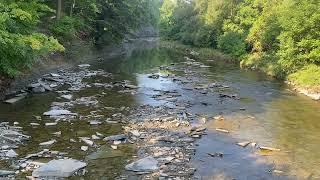 ETOBICOKE CREEK / Toronto