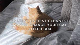 Fastest, Easiest, Cleanest Way to Change Your Cat Litter Box