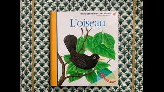 ⭐️L'oiseau - documentaire - mes premières découvertes Gallimard jeunesse