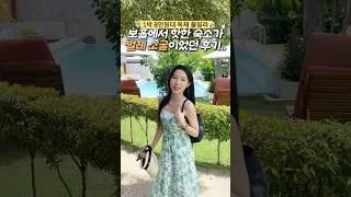 1박 8만원대 보홀 가성비 숙소 충격 후기