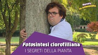 Renato lo scienziato - Fotosintesi clorofilliana  Ft. Mela educational