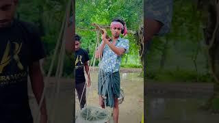 ইলিশ/kom takai valo elish lagbe naki? Ajaira public new funny shorts/ kabir faisal/