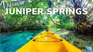 Juniper Springs: One of The BEST Kayaking Runs in Florida!