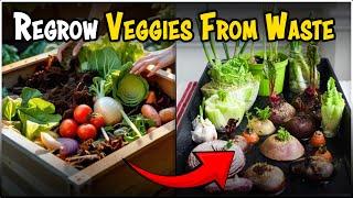 How to Grow Vegetables from Kitchen Scraps at Home