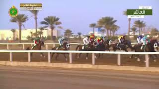 Race 8 - Tenth Meeting -  Rahba - 24/12/2022