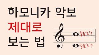 [상식#1] 하모니카 악보 보는법/악보마다 높낮이가 다른 이유? 그 어디에서도 설명해주지 않는 내용, 인투더 최초공개 