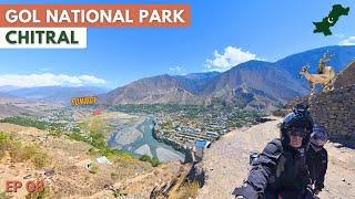 Exploring Chitral Gol National Park | Pakistan's National Animal Markhor - EP 8