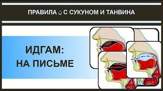 Айман Сувейд. 13. Правила нун с сукуном: ИДГАМ (признаки в мусхафе) (русские субтитры)