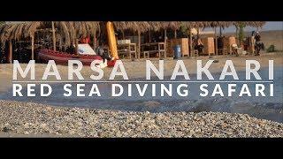 Egypt - Marsa Nakari - Red Sea Diving Safari - 4K Video