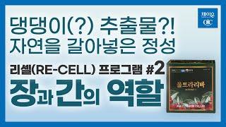 [채이은티비 공식 채널] 리셀(RE-CELL) 프로그램 #파트2, 장과 간의 역할 #채이은 #건강식품 #ULTRALIVA #울트라리바 #장 #간