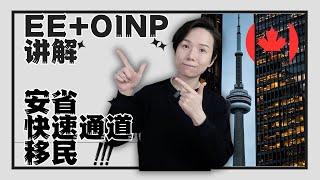 【硬核讲解】加拿大安省移民系列第2集：OINP之法语人才项目| 人力资源优先项目| 技工移民项目