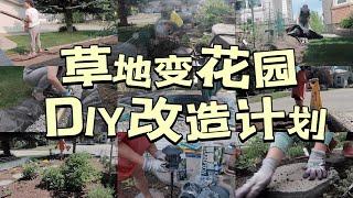 加拿大前院DIY改造计划！草地变花园【NO妈日记】