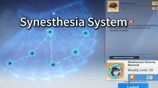 New Synesthesia System |  Lin sensory material Tower of Fantasy Global