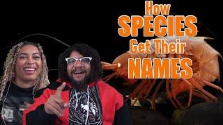 True Facts: How We Name Species! | ZeFrank Reaction