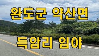 부동산경매 - 전남 완도군 약산면 득암리 임야