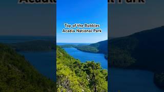 Top of Acadia’s Bubbles. #maine #hike #hiking #outdoor #ytshort #shorts #short #acadia