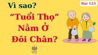 Tại Sao “Đôi Chân” Quyết Định Tuổi Thọ? | Ds Nguyễn Quốc Tuấn