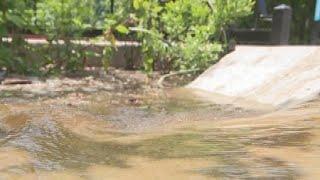 How rain gardens stop flooding and water pollution