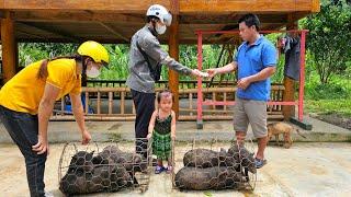 Sell ​​piglets to traders - Gardening and cooking / XuanTruong