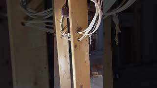 Fastest way to remove wires in studs #diy #construction #remodeling #diyproject #carpentry
