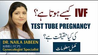 IVF Procedure Step By Step In Urdu | IVF Treatment Process | IVF Kya Aur Kese Hota | Is IVF Painful