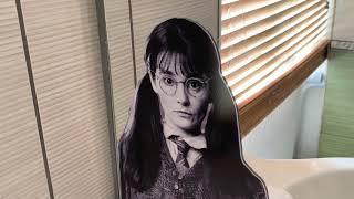 Un gîte Harry Potter dans la Marne