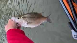 NTXKC On Lake Tawakoni