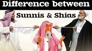 What is the difference between Sunnis & Shias? #Assim #assimalhakeem #assim assim al hakeem