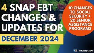 Dec 2024 Food Stamps Update - 10 Changes to Social Security + 20 BEST Senior Assistance Programs