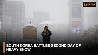 South Korea battles second day of heavy snow and other updates | DD India Live