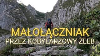 MAŁOŁĄCZNIAK PRZEZ KOBYLARZOWY ŻLEB, PRZYSŁOP MIĘTUSI I DOLINĘ MAŁEJ ŁĄKI - TATRY 2024