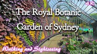 Royal Botanic Garden of Sydney Australia | 4K Walking Tour | Exploring Sightseeing Travel Adventure